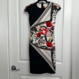 CLOVER CANYON  Fitted Mini Dress, size XS